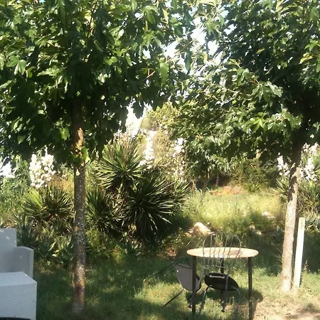 Hotel Mas Ribas