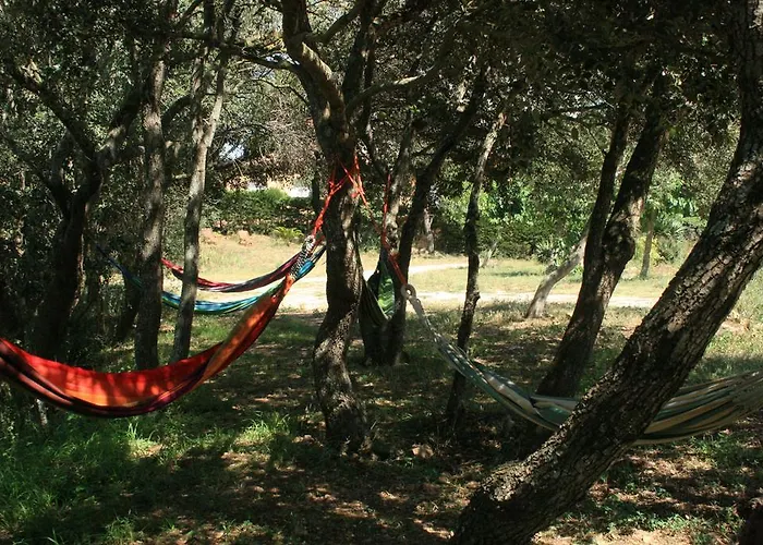 Mas Ribas פלאמוס