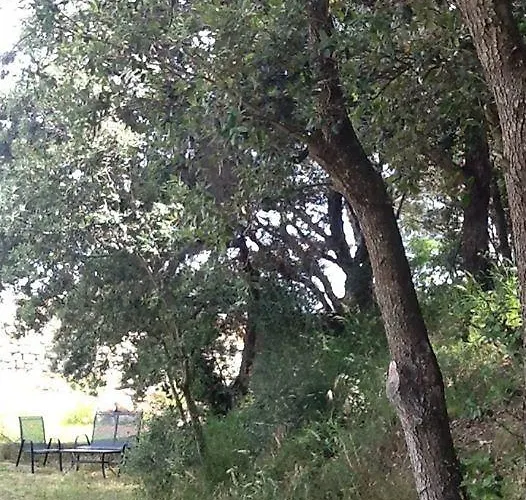 Mas Ribas פלאמוס